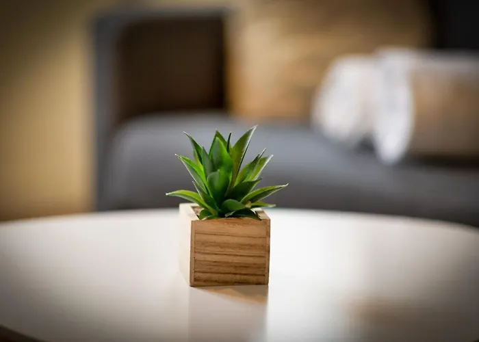 L'oiseau Blanc Un Petit Nid Proche De La Gare ! Daire Rouen