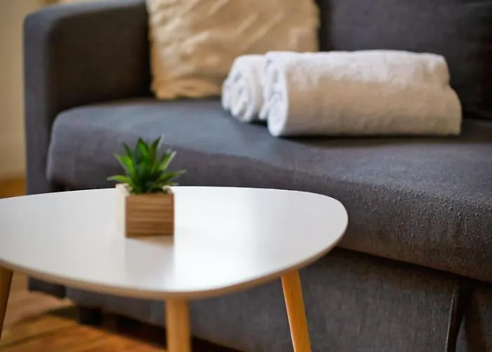 L'oiseau Blanc Un Petit Nid Proche De La Gare ! Daire